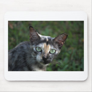 Grey Brown White Cat with Green Eyes Mouse Mat