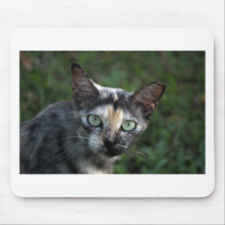 Grey Brown White Cat with Green Eyes Mouse Mat