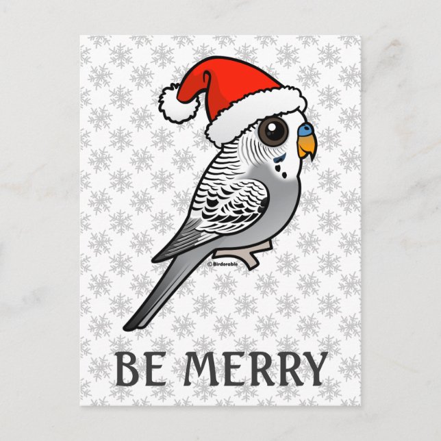 Grey Budgie Santa Claus Holiday Postcard (Front)