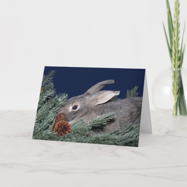 Grey bunny in pine holiday card (Front)