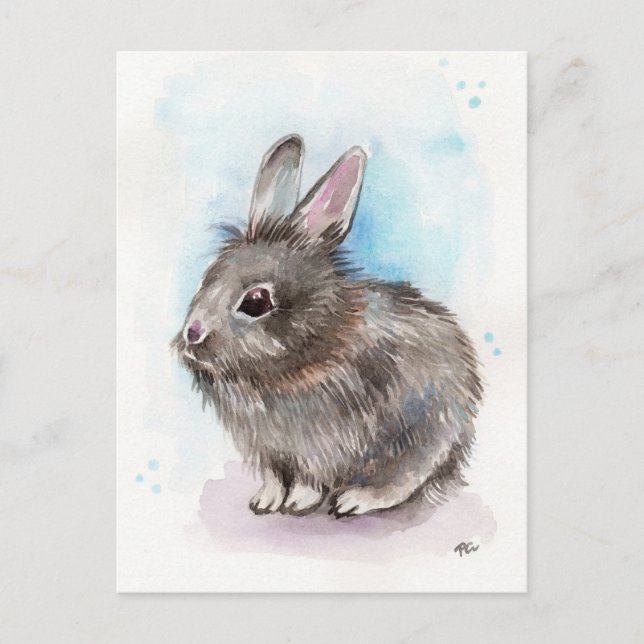 Grey Bunny Postcard (Front)