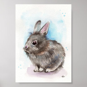 Grey Bunny Poster