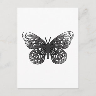Grey Butterfly Postcard