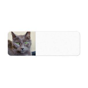 Grey Cat Address labels