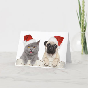 Grey cat and Chinese Pug Christmas Design Holiday Card