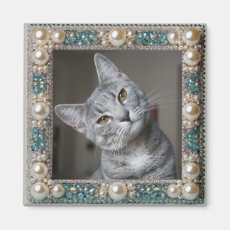 Grey Cat Animal Memory Anchor Magnet