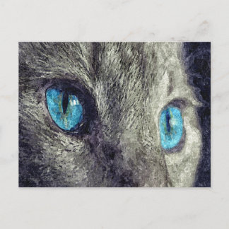Grey Cat Blue Eyes Postcard