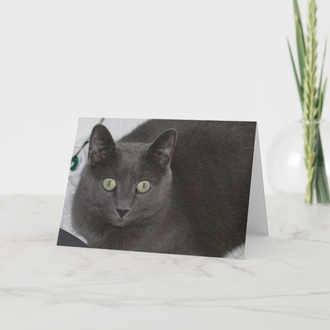 Grey Cat Card (Front)