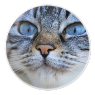 Grey Cat Ceramic Knob