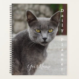 Grey Cat Chartreux - Daily Planner- HAMbWG Planner