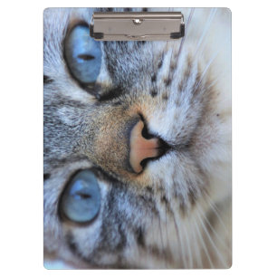 Grey Cat Clipboard