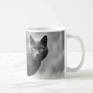 Grey Cat Coffee Mug