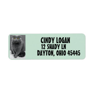 GREY CAT CUTE Return Address Label