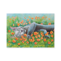 Grey Cat Double sided ACEO