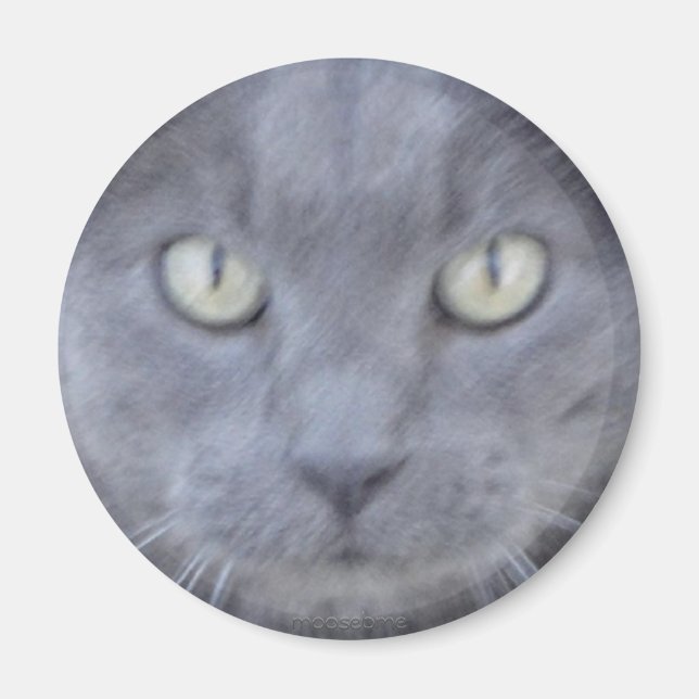 Grey cat face magnet (Front)