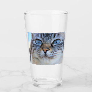 Grey Cat Glass