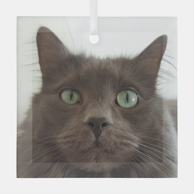 Grey cat glass tree decoration (Front)