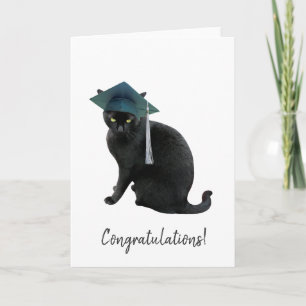 Grey Cat Graduation Card