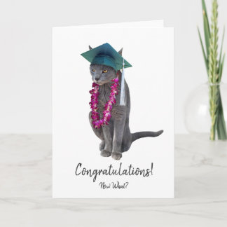 Grey Cat Graduation Card