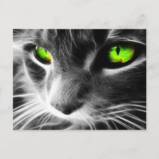 Grey Cat Green Eyes Postcard