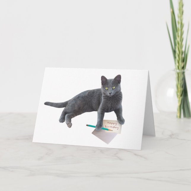 Grey Cat Happy Birthday Letter Card (Front)
