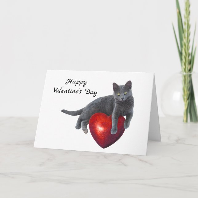 Grey Cat Heart Valentine's Day Card (Front)