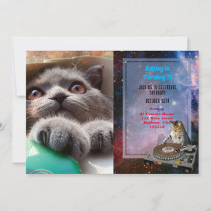 Grey cat in cardboard box invitation