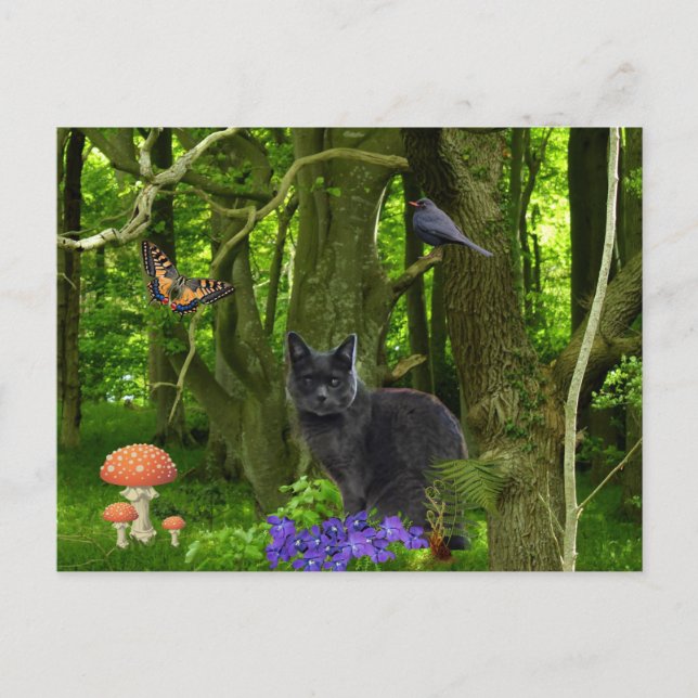 Grey Cat in the Forest Postcard (Front)