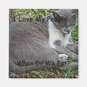 Grey Cat in the Park Magnet