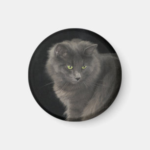 Grey Cat Long Hair Russian Blue Kitty Kitten Cute  Magnet