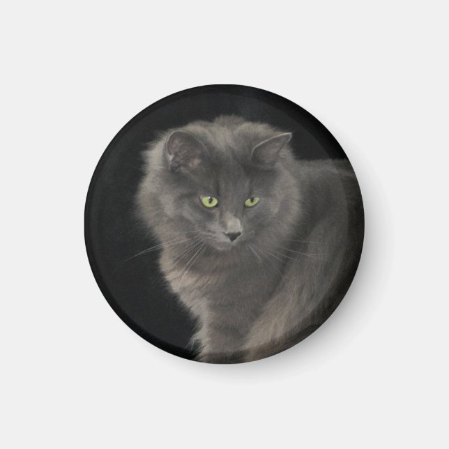 Grey Cat Long Hair Russian Blue Kitty Kitten Cute  Magnet (Front)
