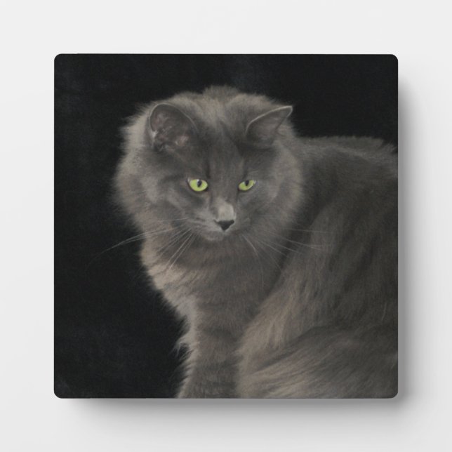 Grey Cat Long Hair Russian Blue Kitty Kitten Cute  Plaque (Front)