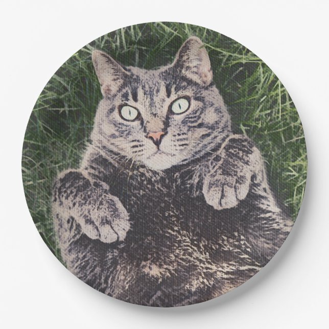 grey cat lying in the grass digital art paper plate (Front)