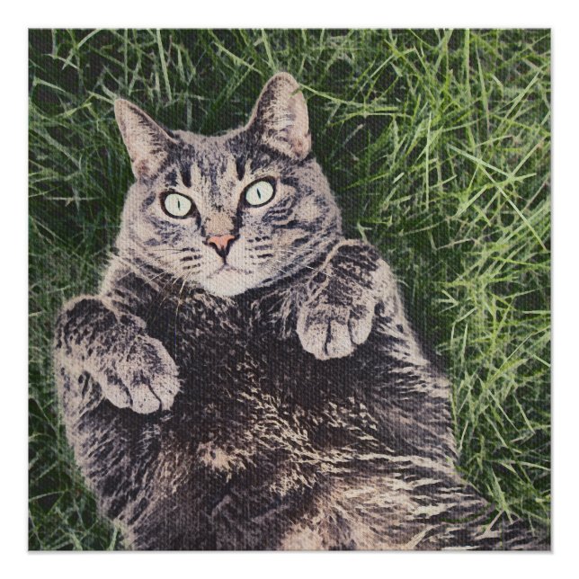 grey cat lying in the grass poster (Front)