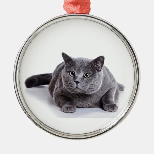 Grey Cat Metal Tree Decoration (Front)
