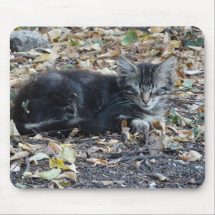Grey Cat Mouse Mat