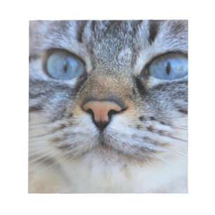 Grey Cat Notepad