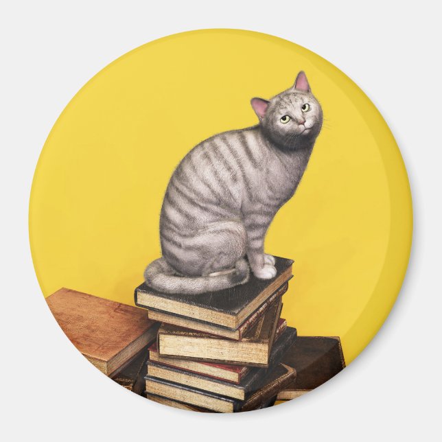 Grey Cat on a stack of books Magnet (Front)