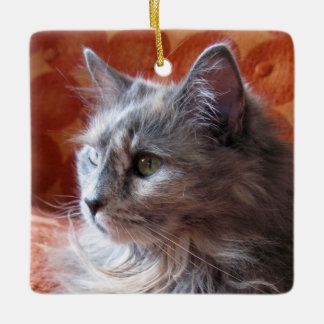 Grey Cat on Coach Ceramic Ornament