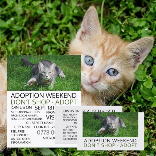 Grey Cat on Grass, Pet Adoption Event Advertising Business Card (Creator Uploaded)