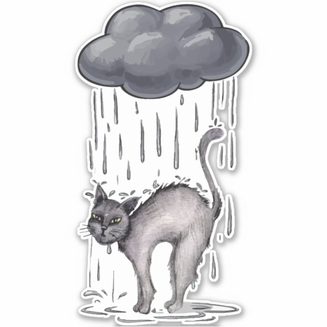 Grey Cat on Rainy Day (Front)