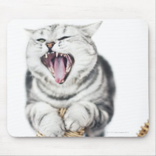 grey cat on white background mouse mat