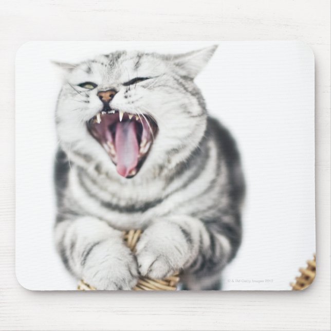 grey cat on white background mouse mat (Front)