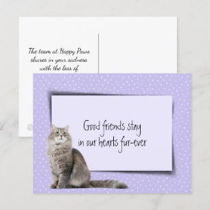 Grey Cat Pet Loss From Veterinarian Postcard