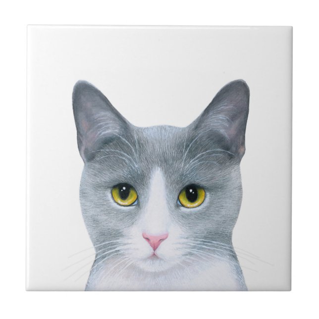 Grey Cat Portrait 611 Tile (Front)