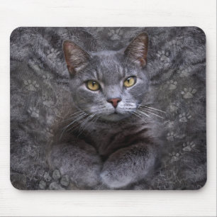 Grey Cat Portrait Mouse Mat