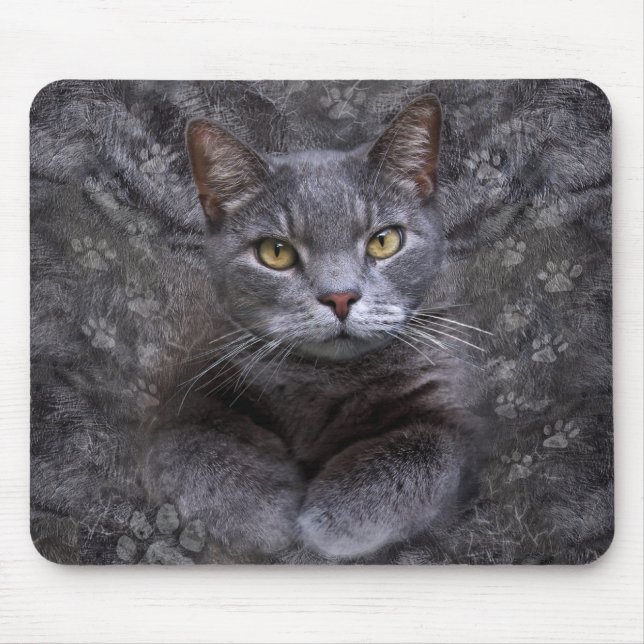 Grey Cat Portrait Mouse Mat (Front)
