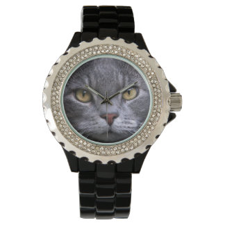 Grey Cat Portrait Watch