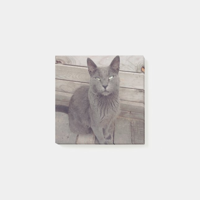 Grey Cat Post-it Notes (Front)
