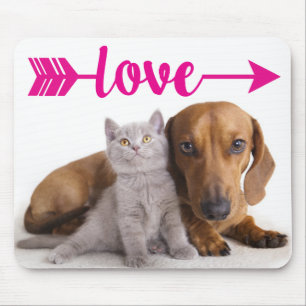 Grey Cat Puppy Dog Cute Kitten Dachshund Mouse Mat
